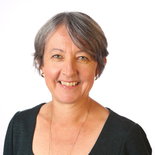 Professor Robyn Dowling Headshot